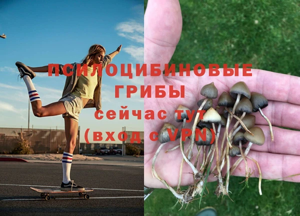 прущая мука Володарск