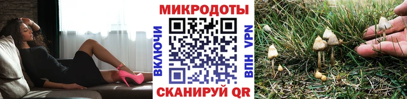 Псилоцибиновые грибы MAGIC MUSHROOMS  Касимов 